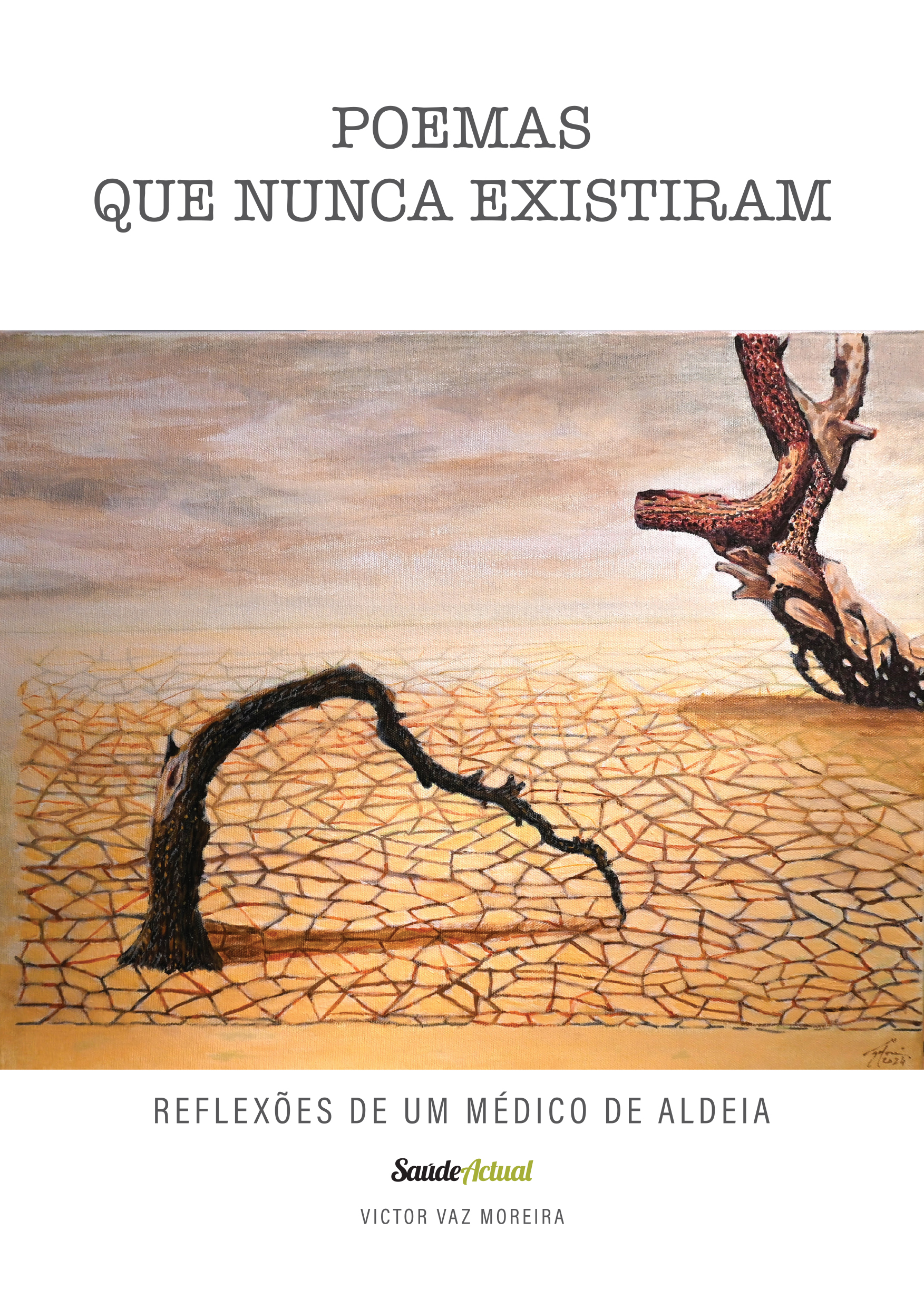 livro poemas que nunca existiram capa
